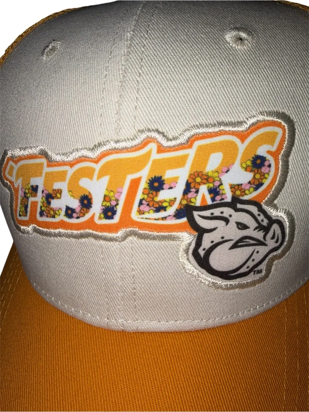 Lehigh Valley IronPigs Trucker Hat